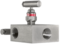 PGI Int'l Two-Valve Manifold